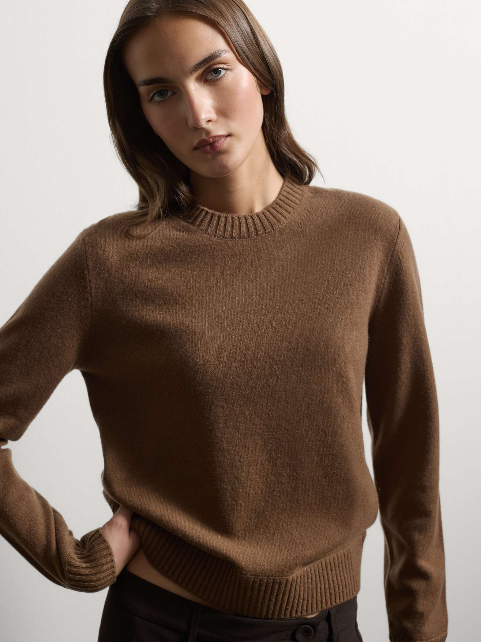 003572058_SD1 STEFANEL Pure cashmere crew-neck jumper with a regular fit Brown - Image 1